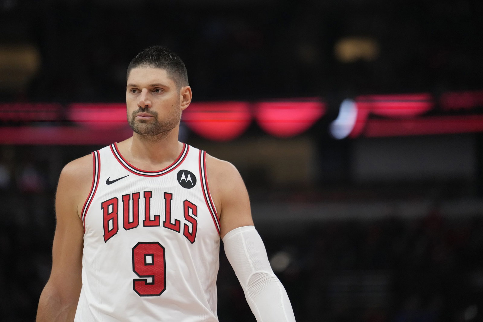 Bulls Tank