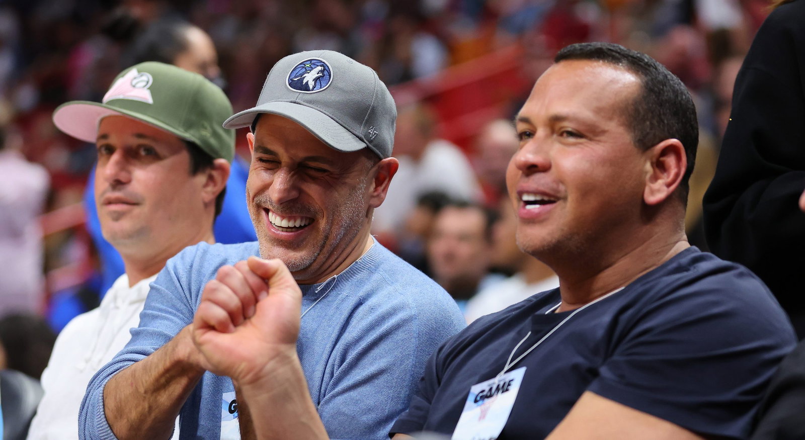 Timberwolves ownership