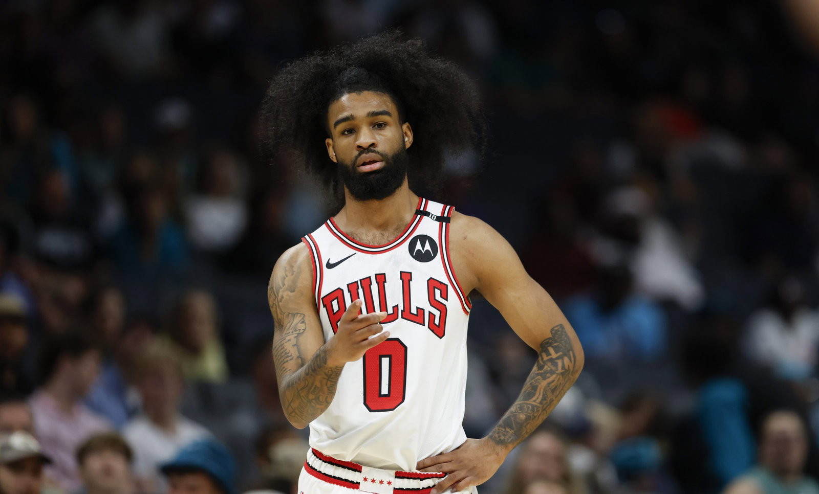 Coby White Chicago Bulls