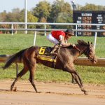 Jockey Joseph Ramos and Regaled (6) head toward the finish line to win the Delaware Handicap horse race on Sept. 28, 2025, at Delaware Park.
