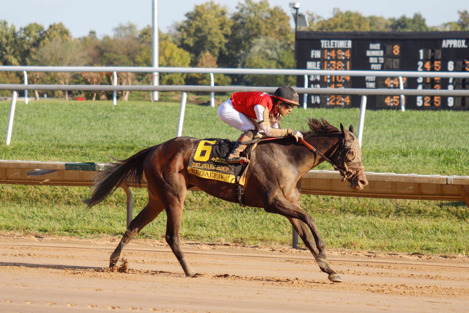 Jockey Joseph Ramos and Regaled (6) head toward the finish line to win the Delaware Handicap horse race on Sept. 28, 2025, at Delaware Park.