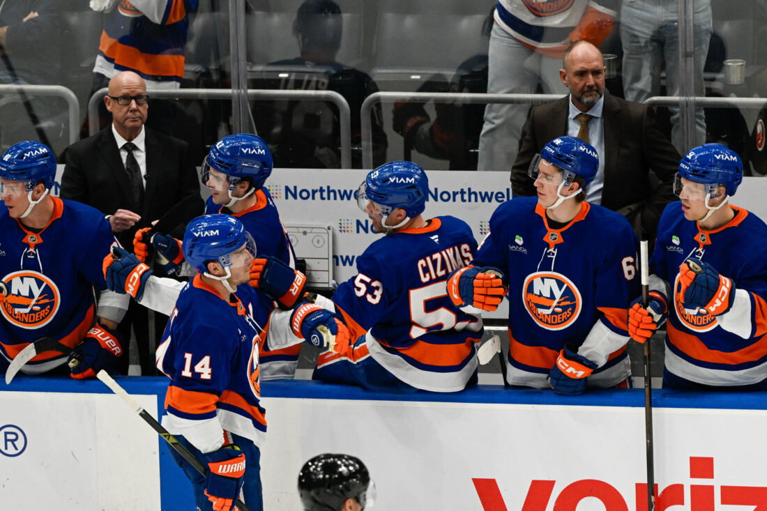 Apr 14, 2026; Elmont, New York, USA; New York Islanders center Bo Horvat (14) celebrates his goal against the Carolina Hurricanes during the second period at UBS Arena. Mandatory Credit: