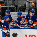 Apr 14, 2026; Elmont, New York, USA; New York Islanders center Bo Horvat (14) celebrates his goal against the Carolina Hurricanes during the second period at UBS Arena. Mandatory Credit: