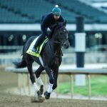Kentucky Derby 152 contender Albus on the track with exercise rider Antonio Garcia aboard for training at Churchill Downs in Louisville, Kentucky. The horse is trained by Riley Mott. April 20, 2026
