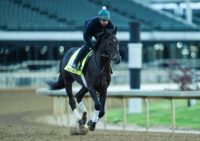 Kentucky Derby 152 contender Albus on the track with exercise rider Antonio Garcia aboard for training at Churchill Downs in Louisville, Kentucky. The horse is trained by Riley Mott. April 20, 2026