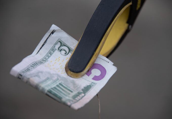 One volunteer snapped up a weather worn $5 dollar bill found snagged in the underbrush during a cleanup at Eugenia Fortes Beach in Hyannisport. Photo taken on January 17,2026