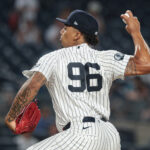 May 20, 2026; Bronx, New York, USA; New York Yankees pitcher Yovanny Cruz (96) delivers a pitch, during his major league debut, against the Blue Jays in the eighth inning at Yankee Stadium. Mandatory Credit: Vincent Carchietta-Imagn Images