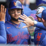 Jun 14, 2026; New York City, New York, USA; New York Mets shortstop Bo Bichette (19) is greeted in the dugout after scoring in the eighth inning against the Atlanta Braves at Citi Field. Mandatory Credit: Wendell Cruz-Imagn Images