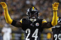 Jan 12, 2026; Pittsburgh, PA, USA; Pittsburgh Steelers cornerback Joey Porter Jr. (24) reacts after a play during the second half of an AFC Wild Card Round game against the Houston Texans at Acrisure Stadium. Mandatory Credit: Charles LeClaire-Imagn Images