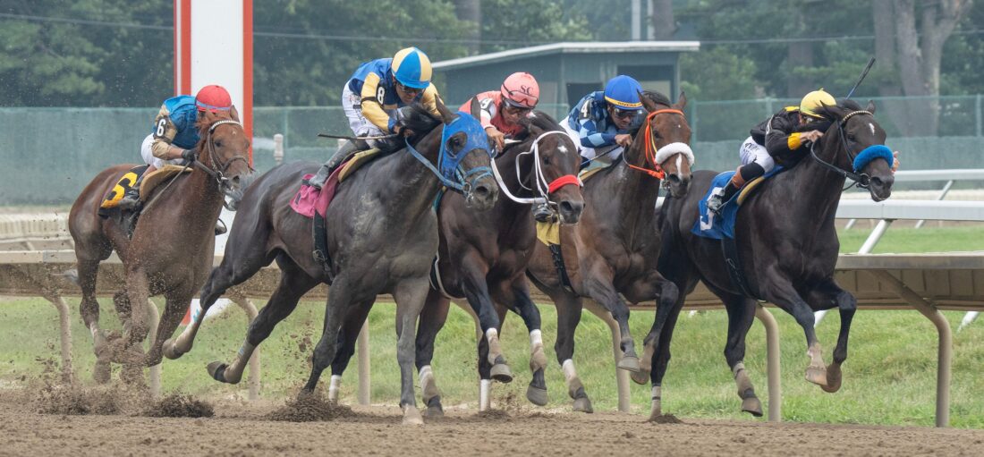 Horses in the first race of day round the third turn. 2026 Haskell Day at Monmouth Park in Oceanport, NJ on July 18, 2026.