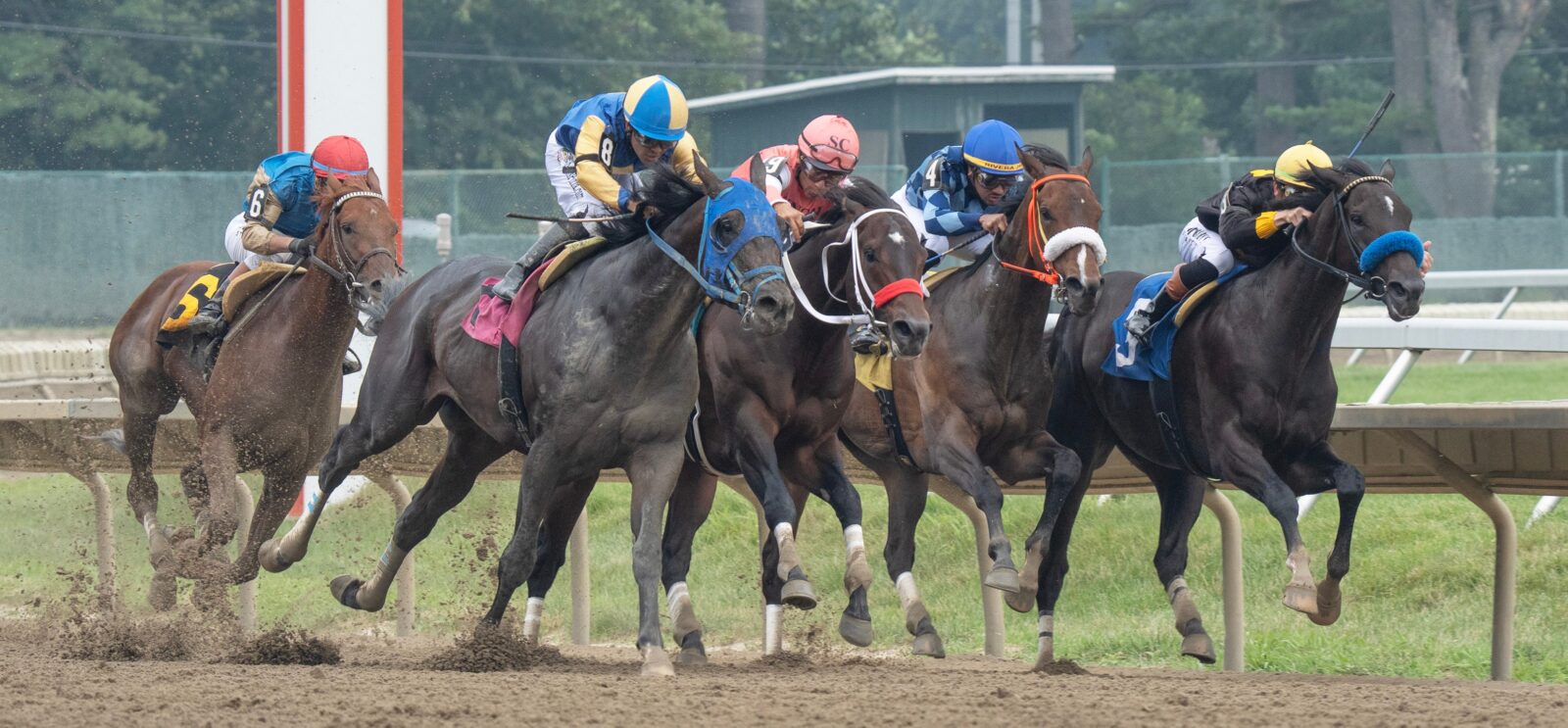 Horses in the first race of day round the third turn. 2026 Haskell Day at Monmouth Park in Oceanport, NJ on July 18, 2026.