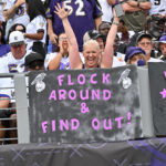 Sep 20, 2026; Baltimore, Maryland, USA; Baltimore Ravens fans cheer in the second half against the New Orleans Saints at M&T Bank Stadium. Mandatory Credit: Jamie Sabau-Imagn Images